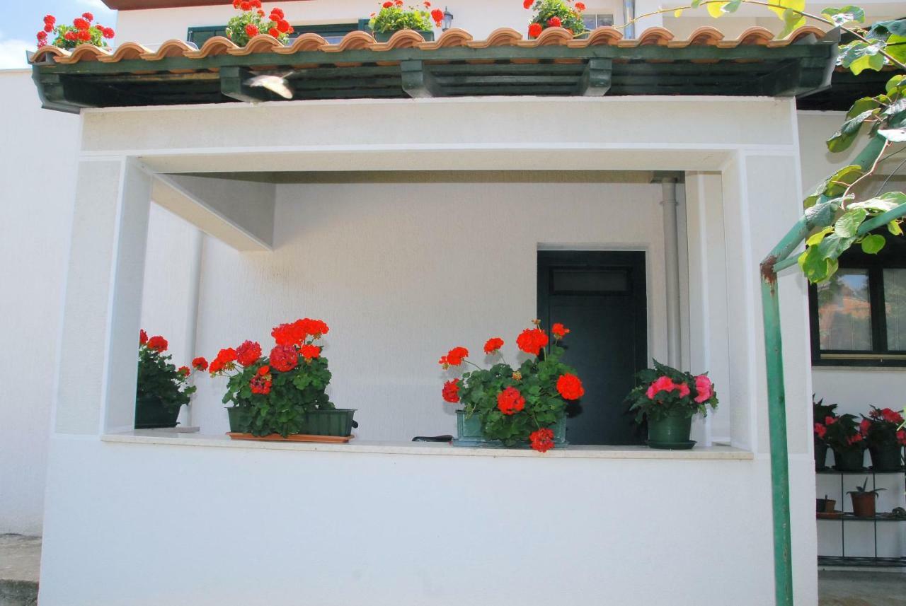 Apartmani Bauk Poreč Buitenkant foto
