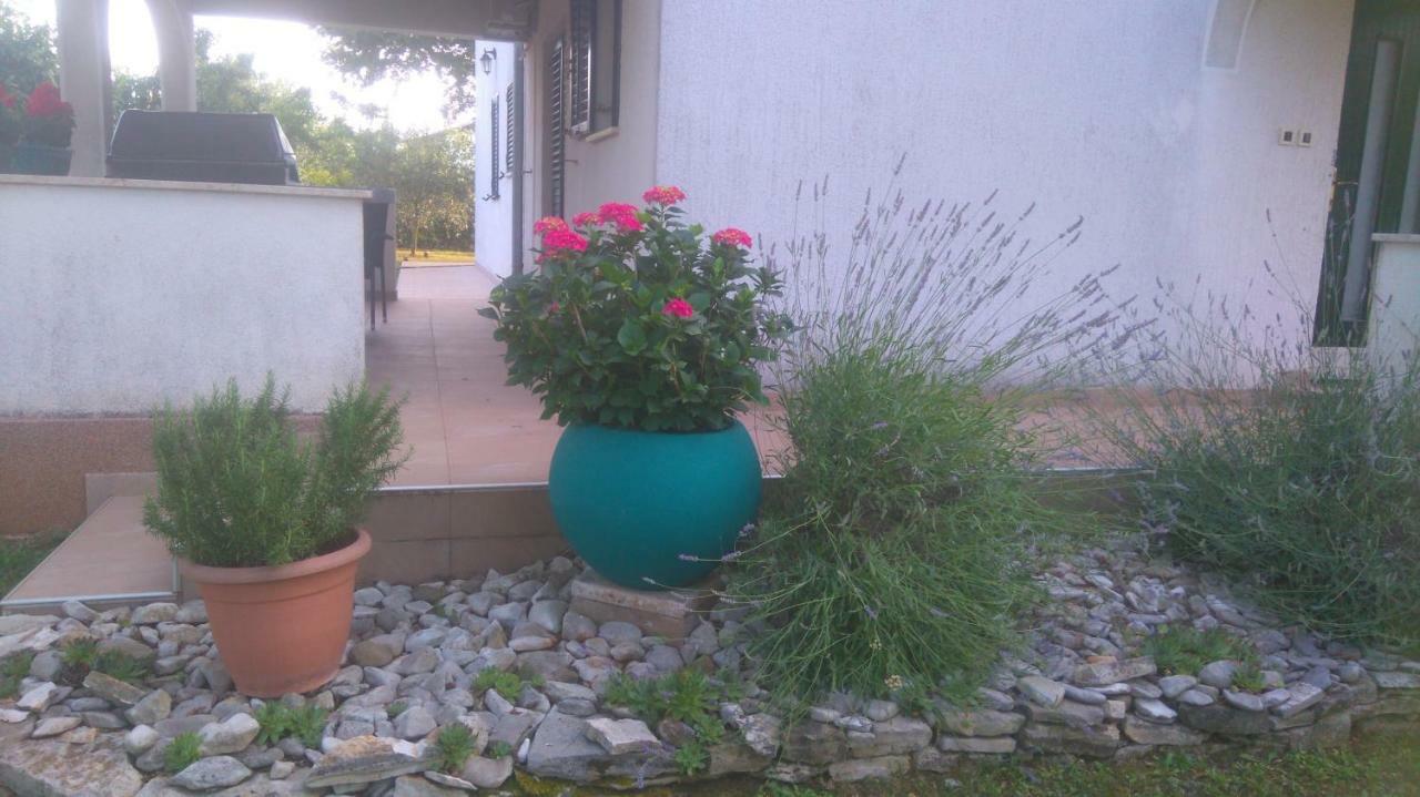 Apartmani Bauk Poreč Buitenkant foto