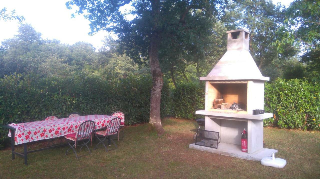 Apartmani Bauk Poreč Buitenkant foto