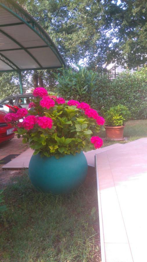 Apartmani Bauk Poreč Buitenkant foto