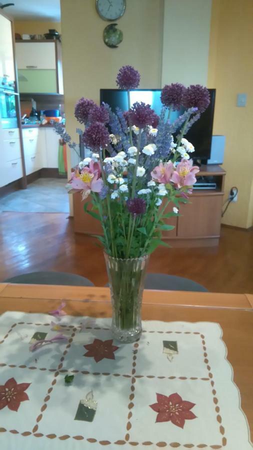Apartmani Bauk Poreč Buitenkant foto
