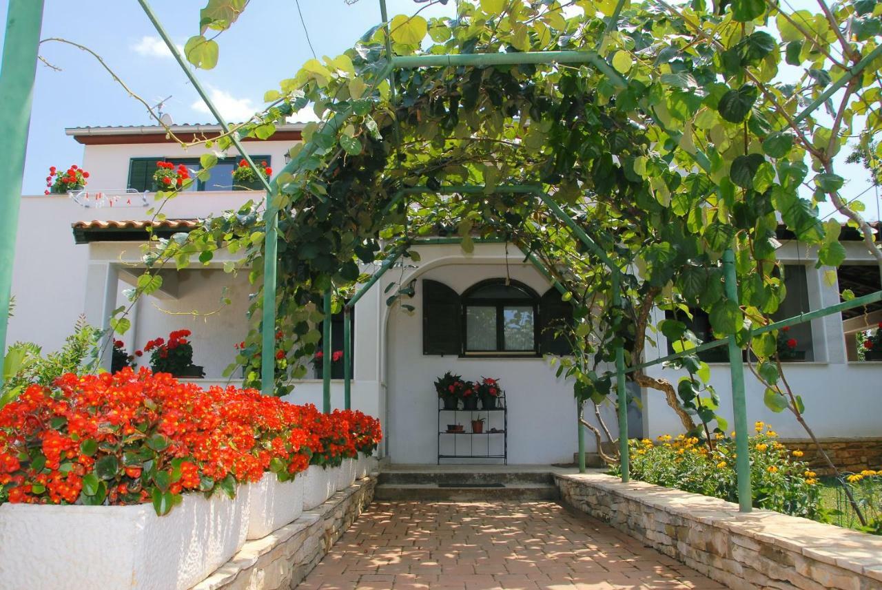 Apartmani Bauk Poreč Buitenkant foto